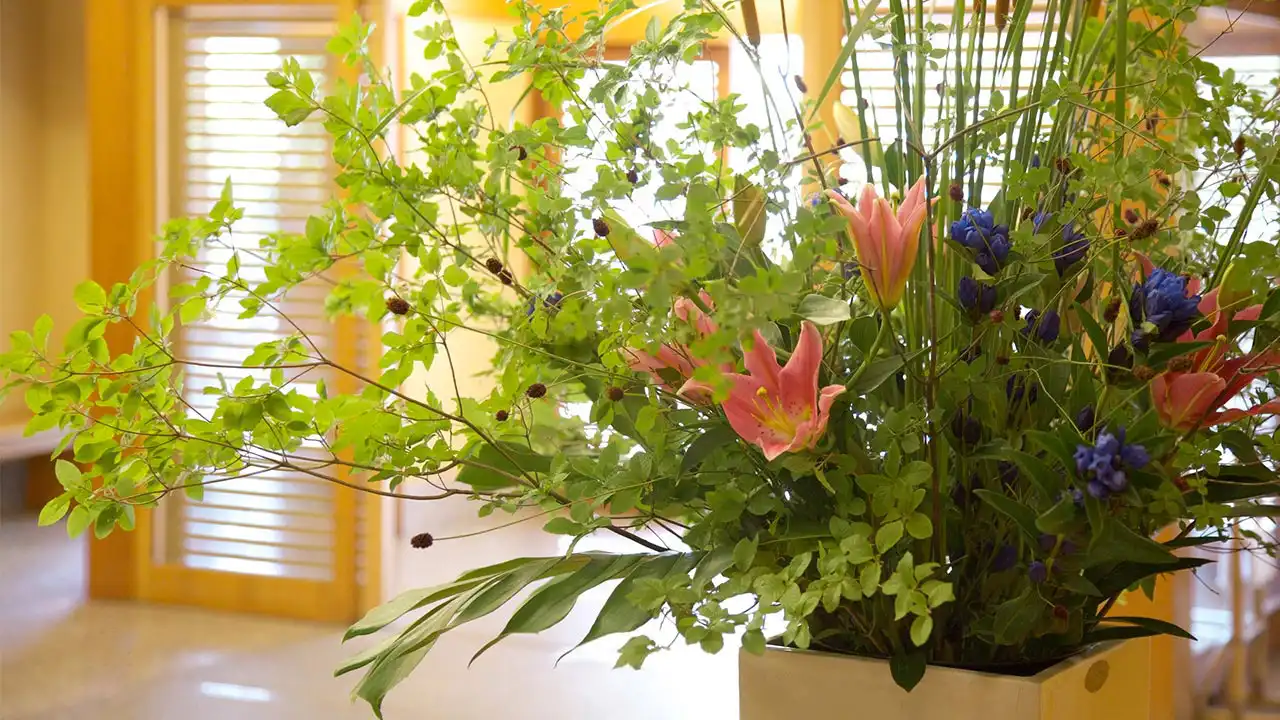 玄関 花