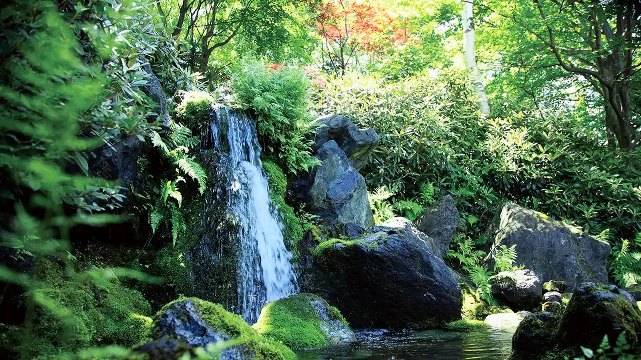 中庭の滝