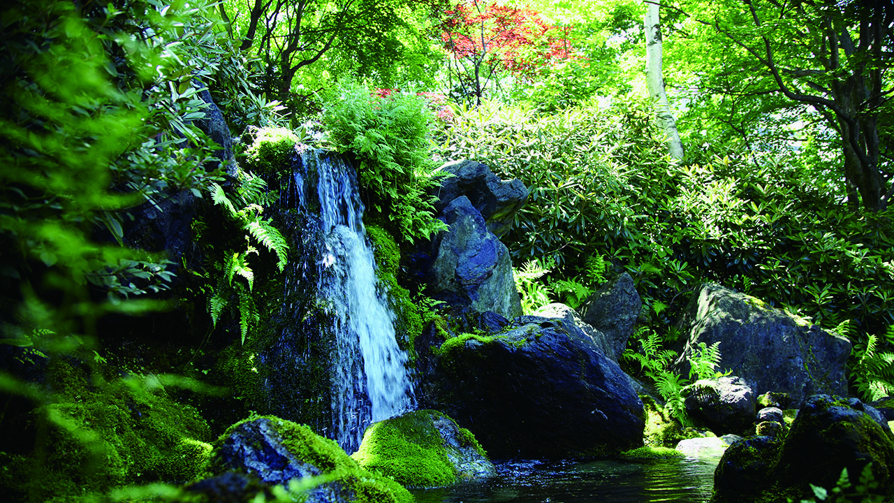 中庭の滝