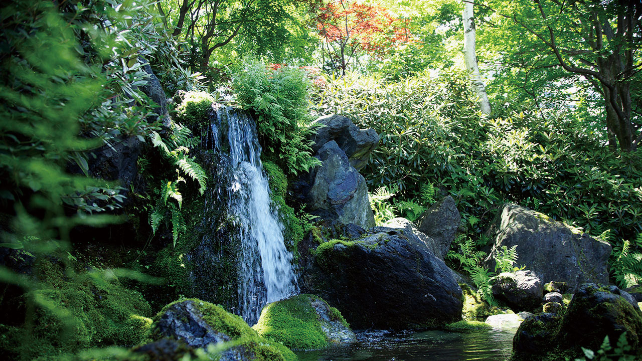 中庭の滝